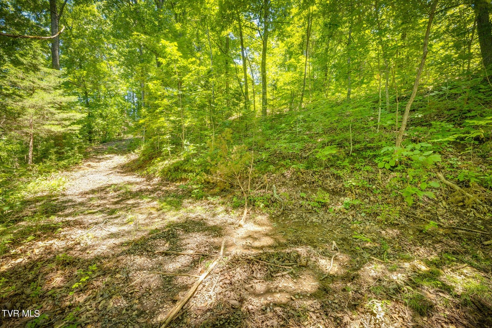 Photo #9: Lot 4 Cherry Hill Rd Off Road