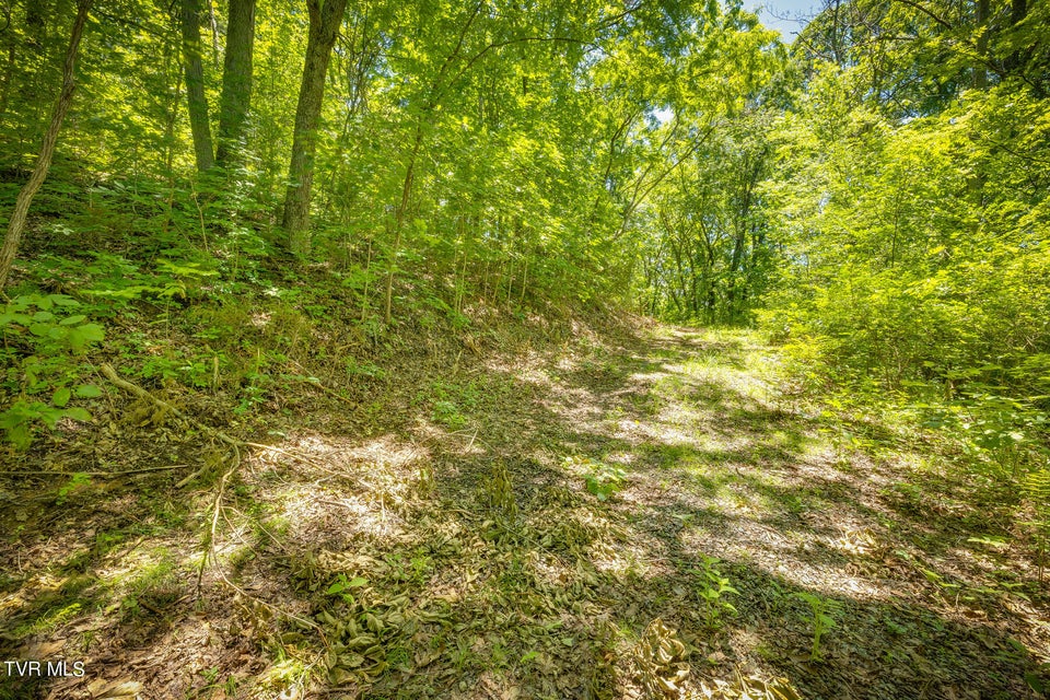Photo #10: Lot 4 Cherry Hill Rd Off Road