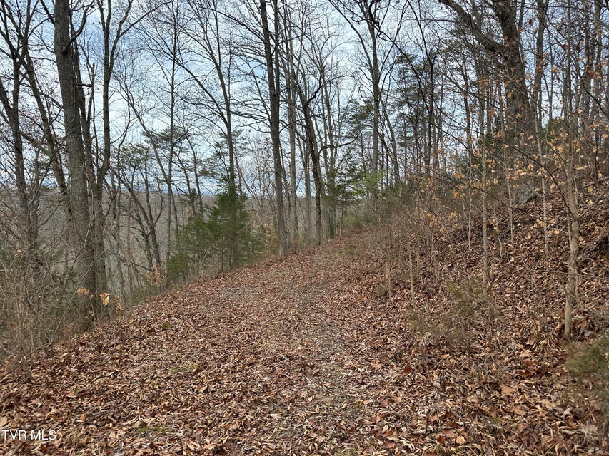 Photo #11: Lot 4 Cherry Hill Rd Off Road