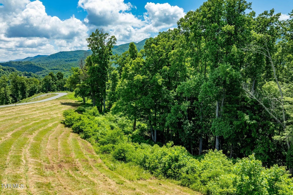 Photo #60: Lot 28 Eagle Ridge Parkway