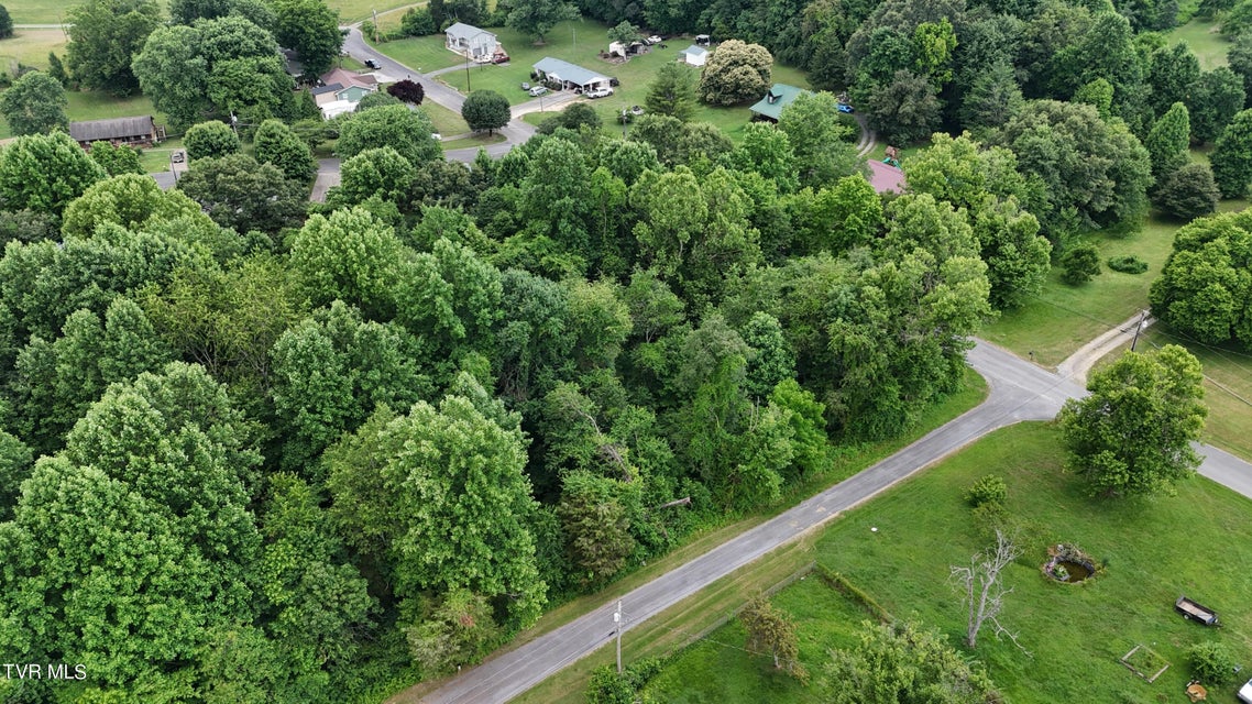 Photo #10: Tbd Holston Terrace Drive