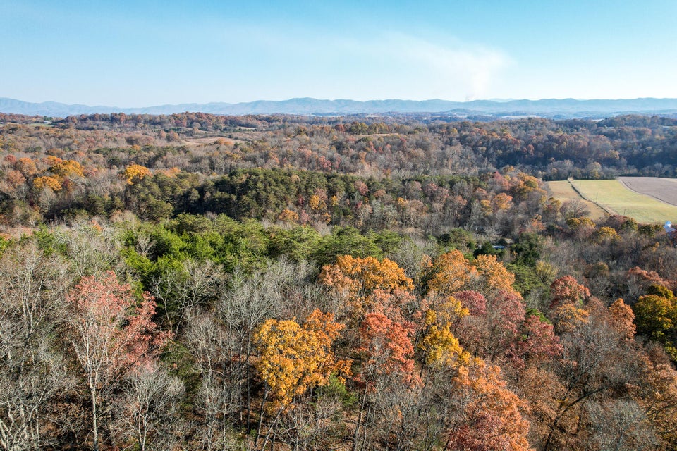 Photo #5: 0 Poplar Springs Road