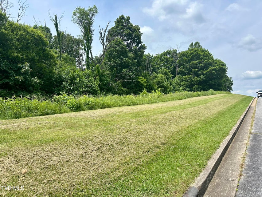 Photo #3: Lot 47 Chimney Top Lane