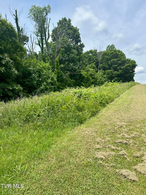 Photo #5: Lot 47 Chimney Top Lane