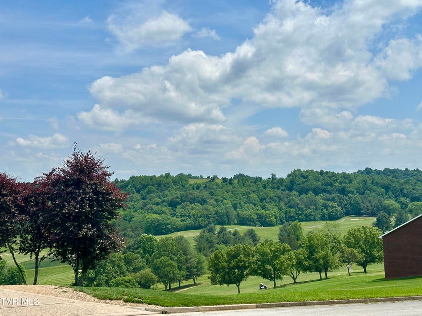 Photo #7: Lot 47 Chimney Top Lane