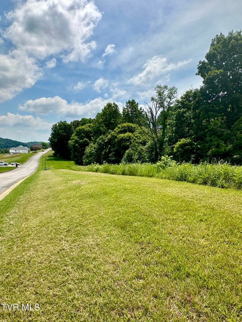 Photo #10: Lot 47 Chimney Top Lane