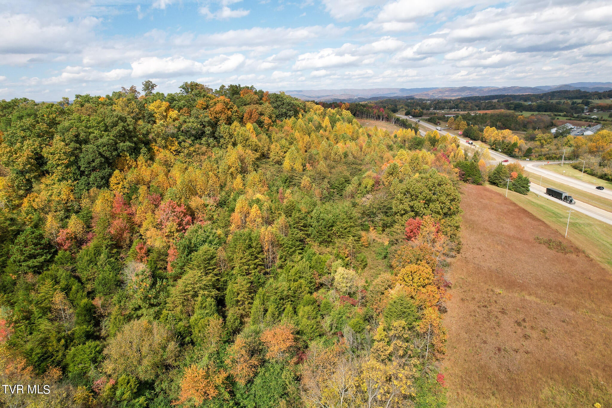 Photo #10: Lot 0 Davy Crockett Parkway