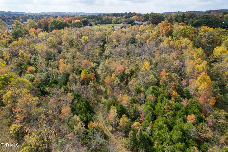 Photo #13: Lot 0 Davy Crockett Parkway