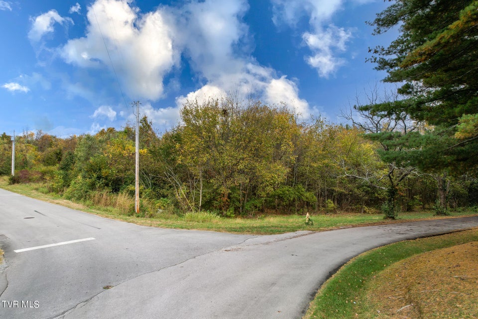 Photo #16: Lot 0 Davy Crockett Parkway