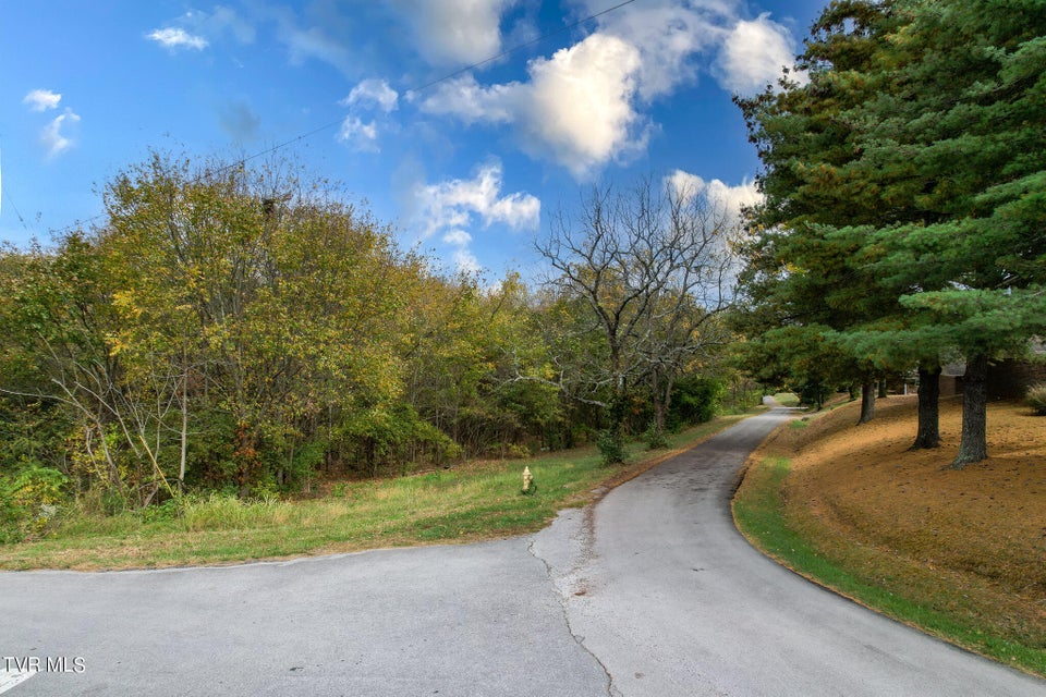 Photo #17: Lot 0 Davy Crockett Parkway