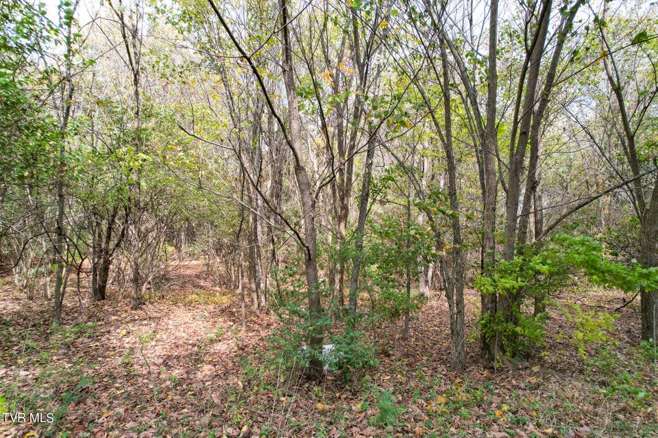 Photo #19: Lot 0 Davy Crockett Parkway