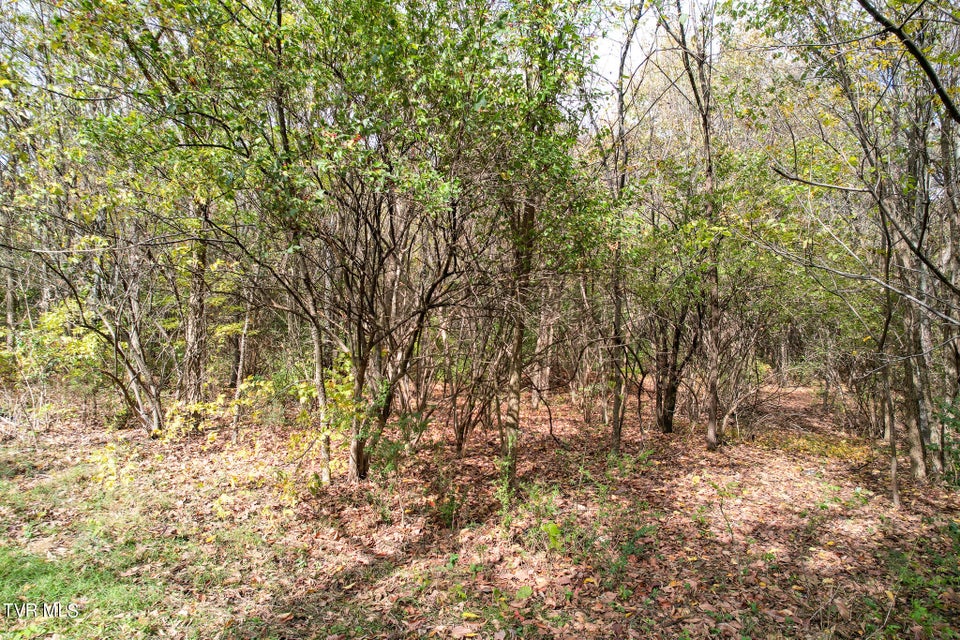 Photo #20: Lot 0 Davy Crockett Parkway