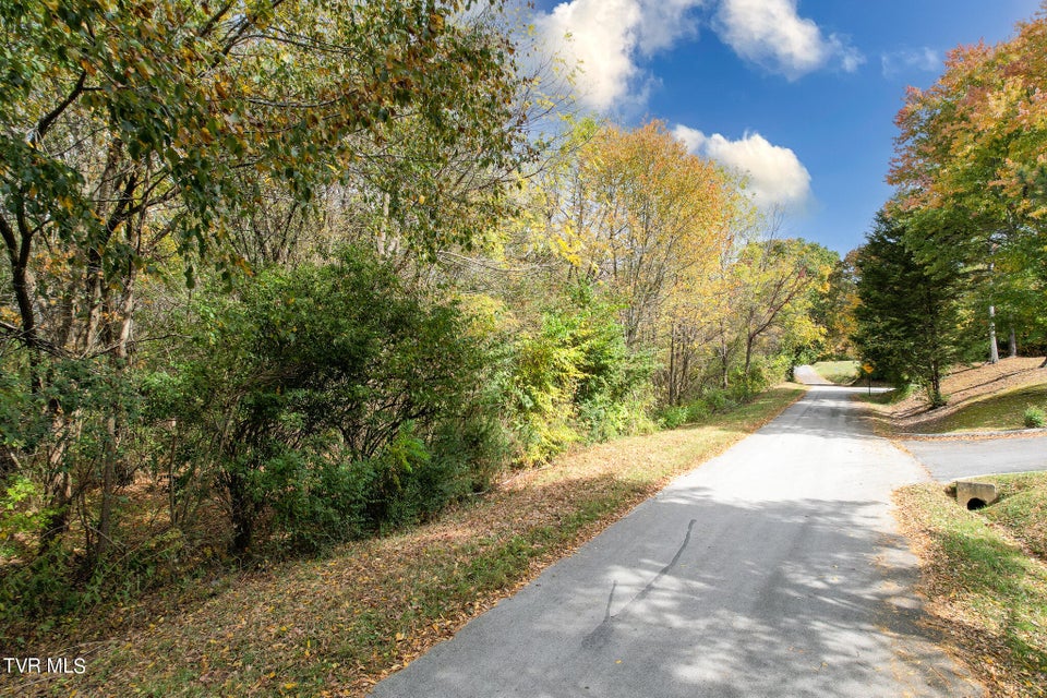 Photo #21: Lot 0 Davy Crockett Parkway