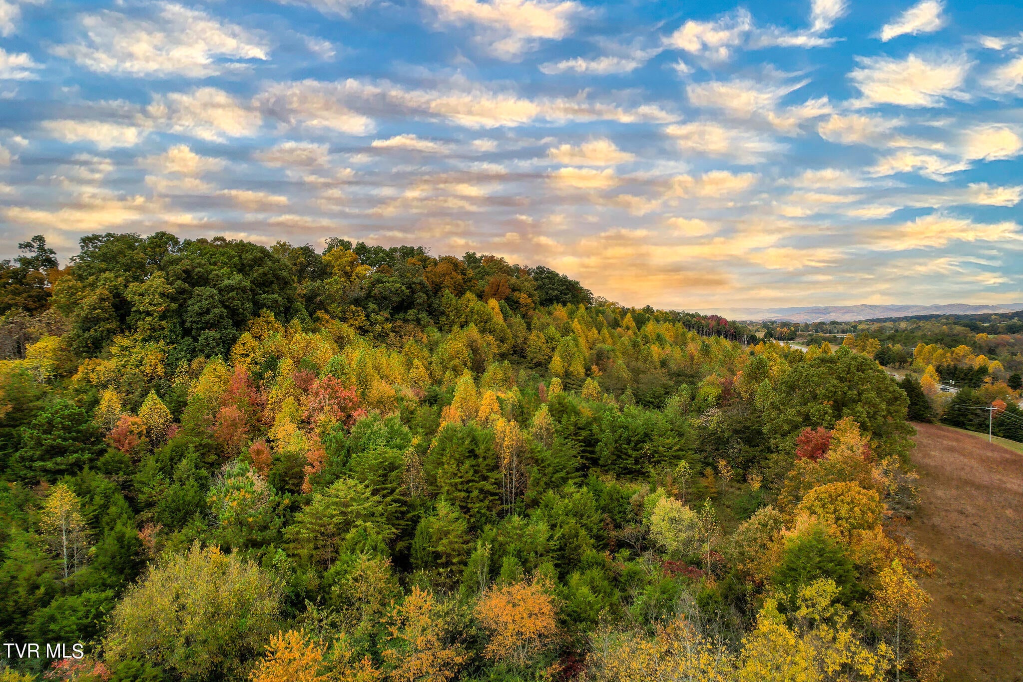 Photo #31: Lot 0 Davy Crockett Parkway