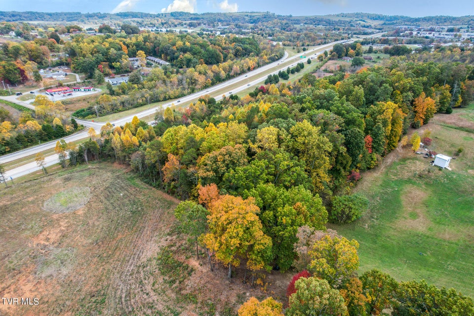 Photo #32: Lot 0 Davy Crockett Parkway