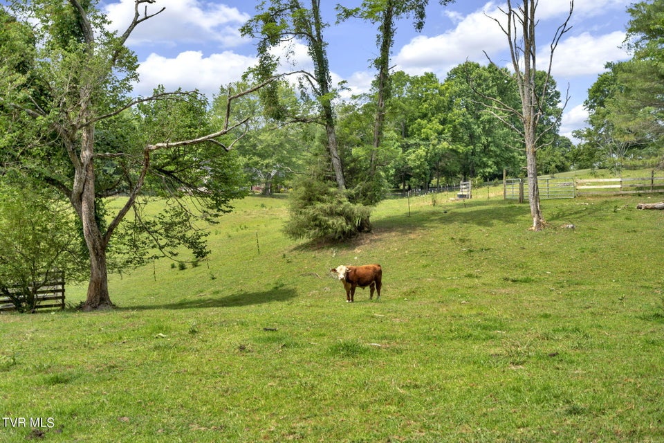 Photo #54: 396 V I Ranch Road