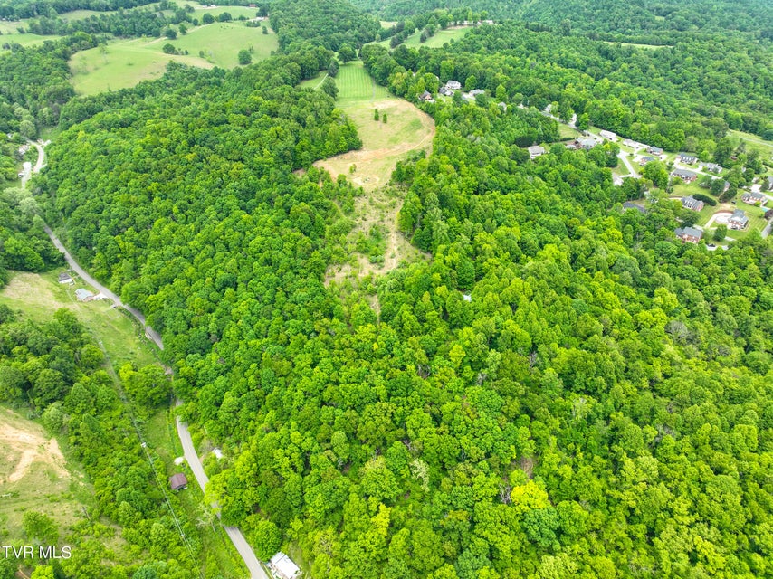 Photo #11: Tbd Reed Hollow Road