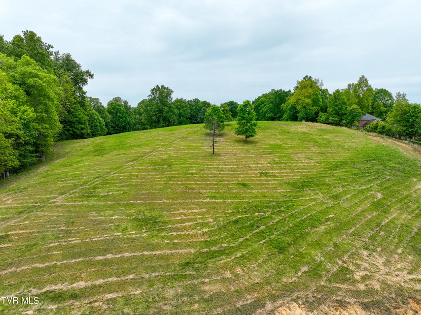 Photo #26: Tbd Reed Hollow Road