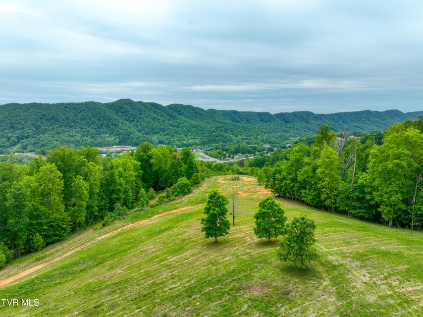 Photo #29: Tbd Reed Hollow Road