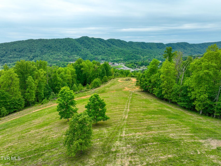 Photo #30: Tbd Reed Hollow Road