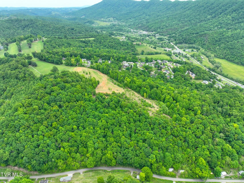 Photo #42: Tbd Reed Hollow Road