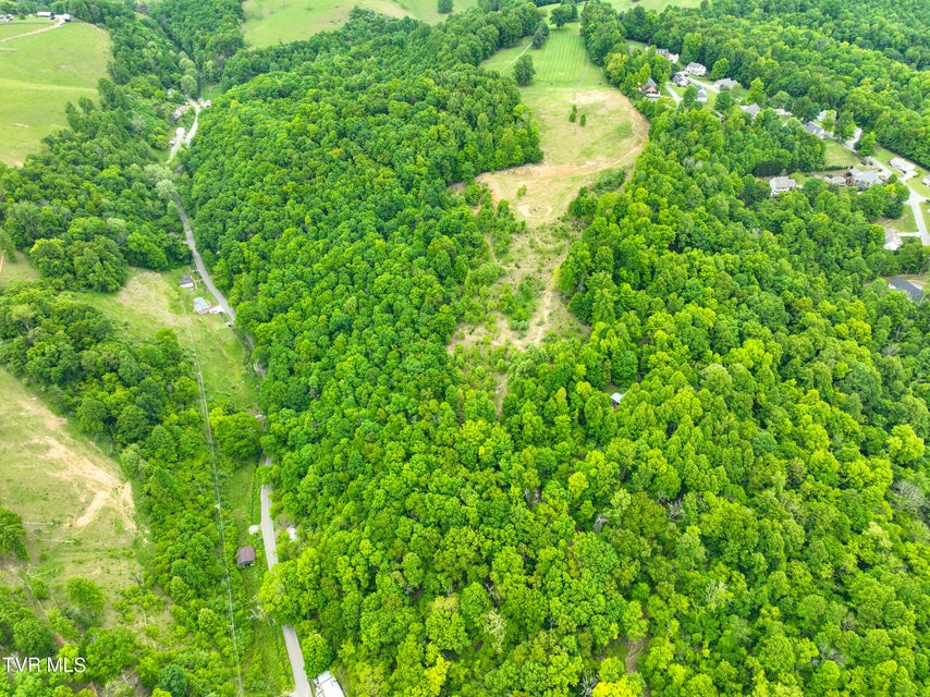 Photo #46: Tbd Reed Hollow Road