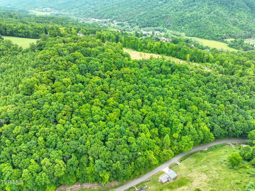 Photo #48: Tbd Reed Hollow Road