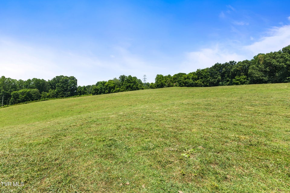 Photo #10: Tbd Old Boones Creek & Eisenhower Road