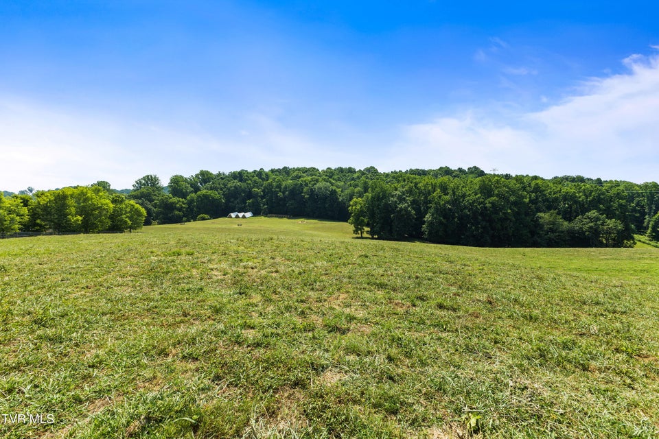 Photo #11: Tbd Old Boones Creek & Eisenhower Road