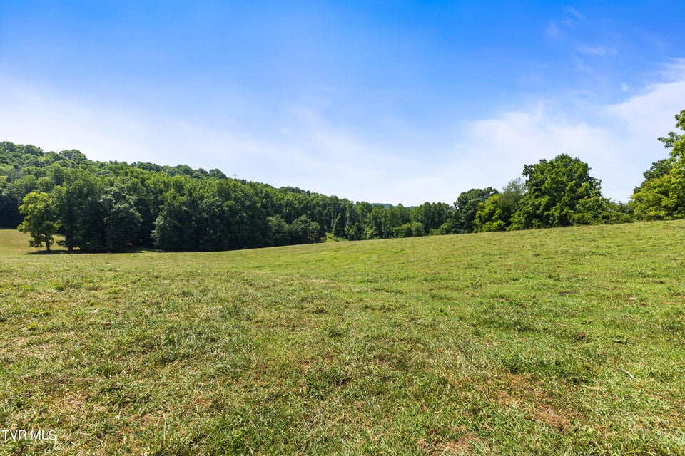 Photo #12: Tbd Old Boones Creek & Eisenhower Road