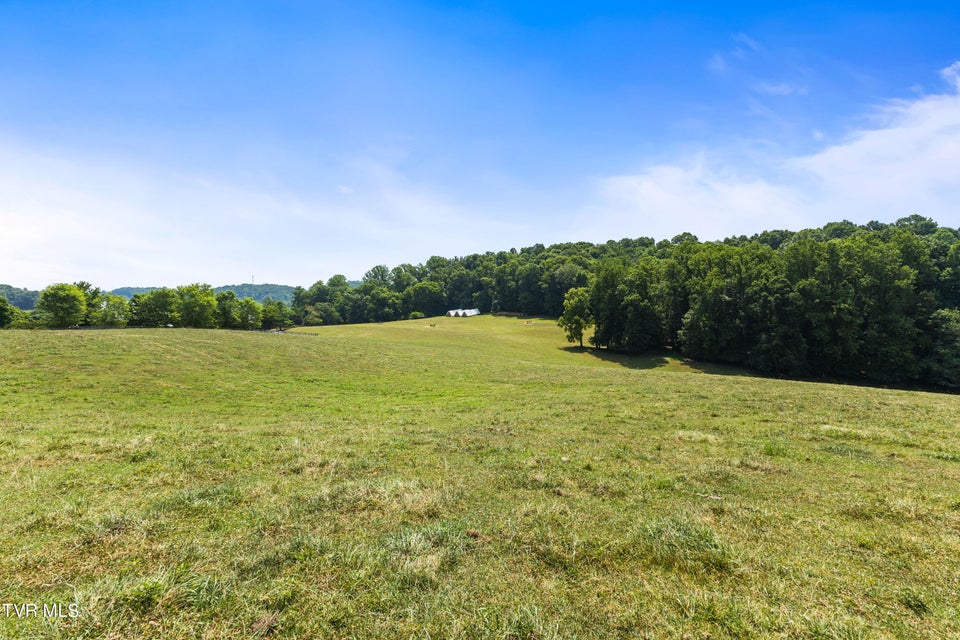 Photo #13: Tbd Old Boones Creek & Eisenhower Road