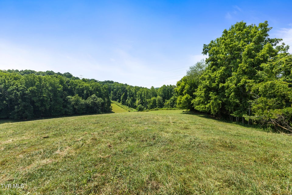 Photo #14: Tbd Old Boones Creek & Eisenhower Road