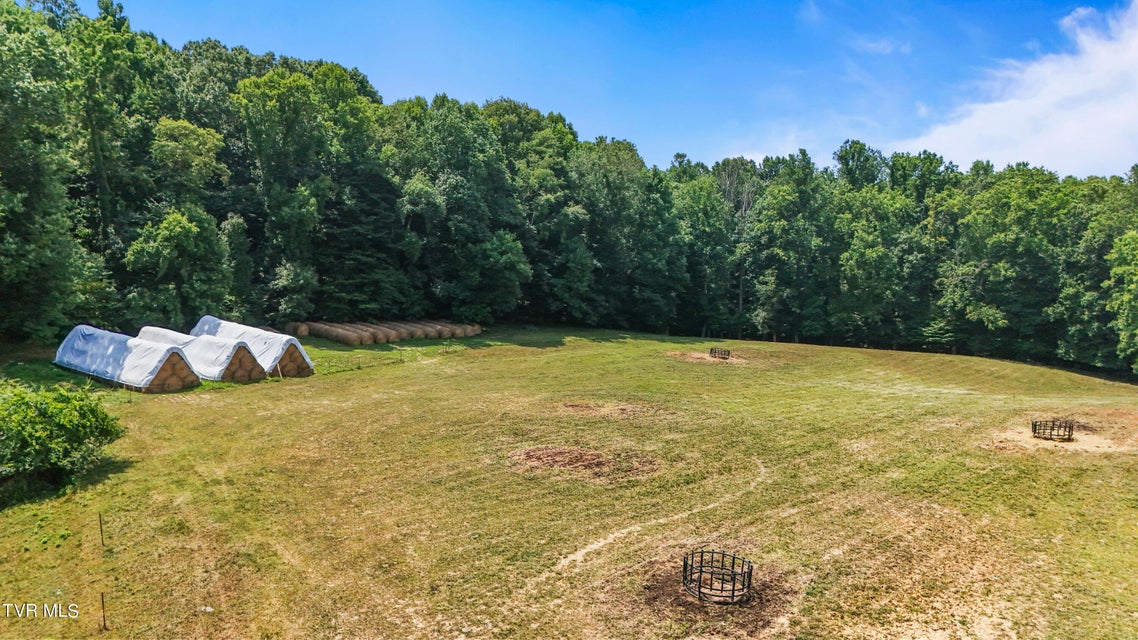 Photo #33: Tbd Old Boones Creek & Eisenhower Road