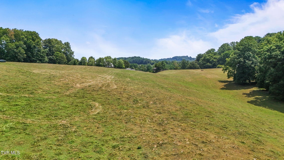 Photo #36: Tbd Old Boones Creek & Eisenhower Road