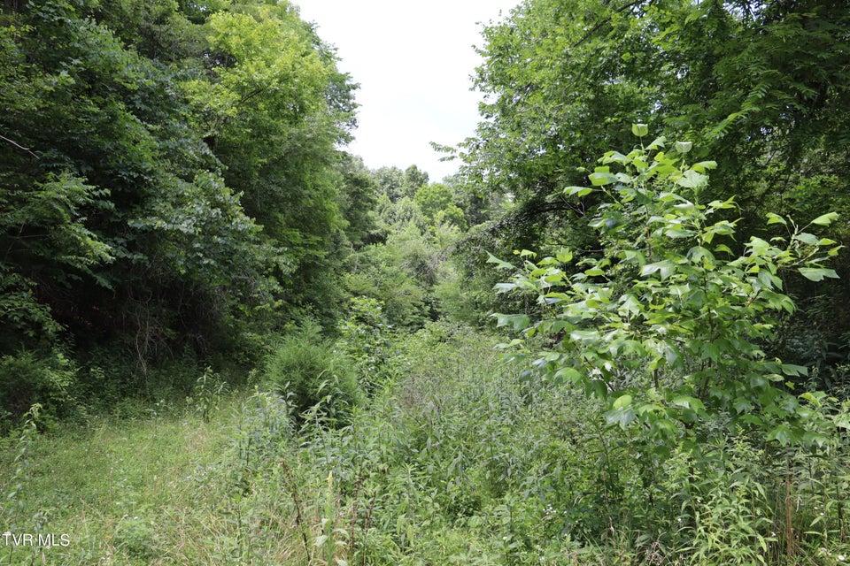 Photo #62: 2497 Upper Copper Creek Road