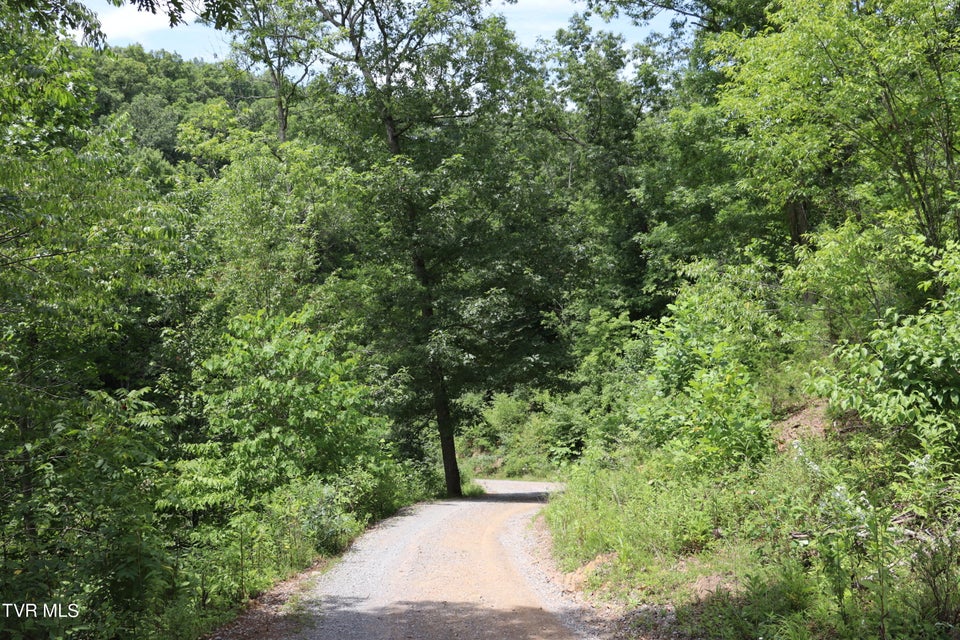 Photo #61: 2497 Upper Copper Creek Road