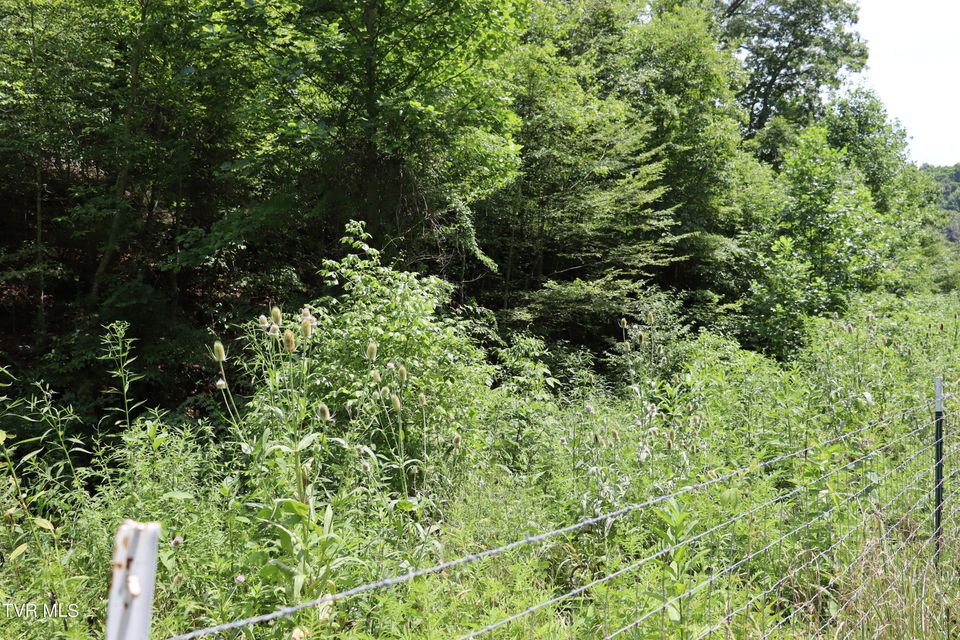 Photo #63: 2497 Upper Copper Creek Road