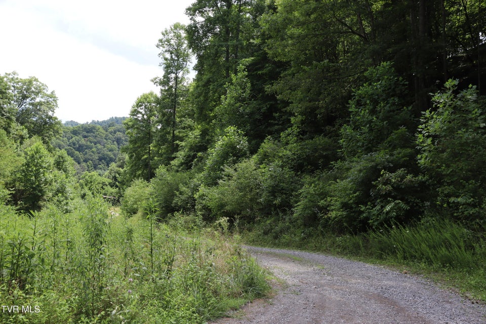 Photo #65: 2497 Upper Copper Creek Road