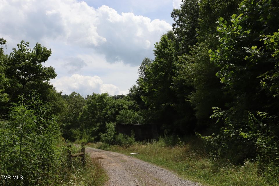 Photo #67: 2497 Upper Copper Creek Road