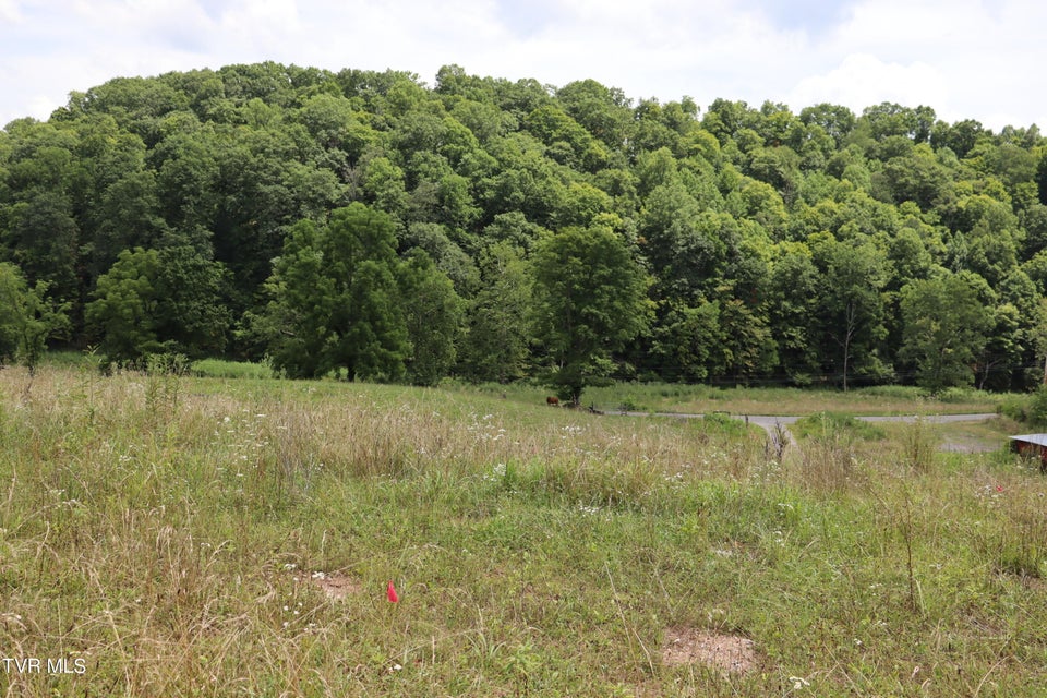 Photo #73: 2497 Upper Copper Creek Road