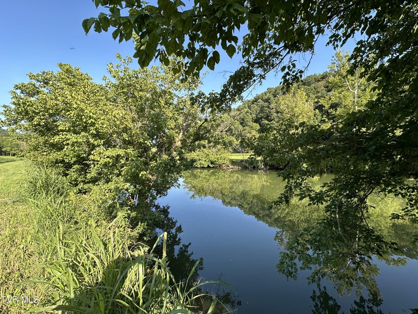 Photo #13: Tbd North Fork River Road