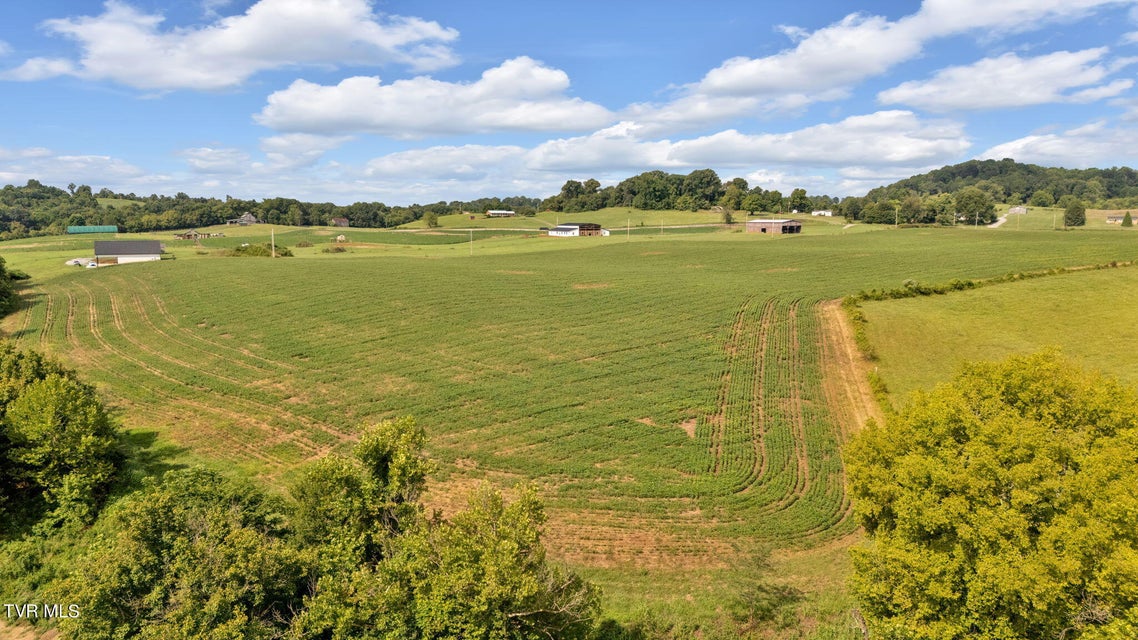 Photo #8: Lot 15 Blackberry Lane