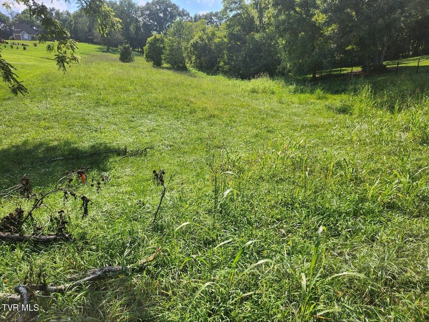 Photo #2: 206 Ox Bow Ave 