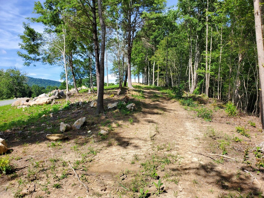Photo #10: Lot 11 Draft Road