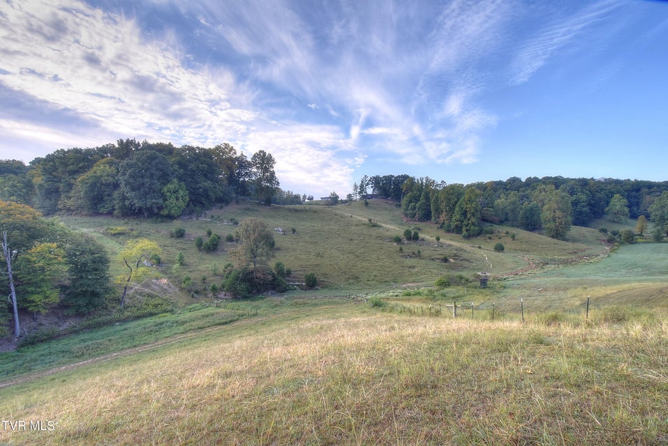 Photo #37: 1579 Bristol Highway