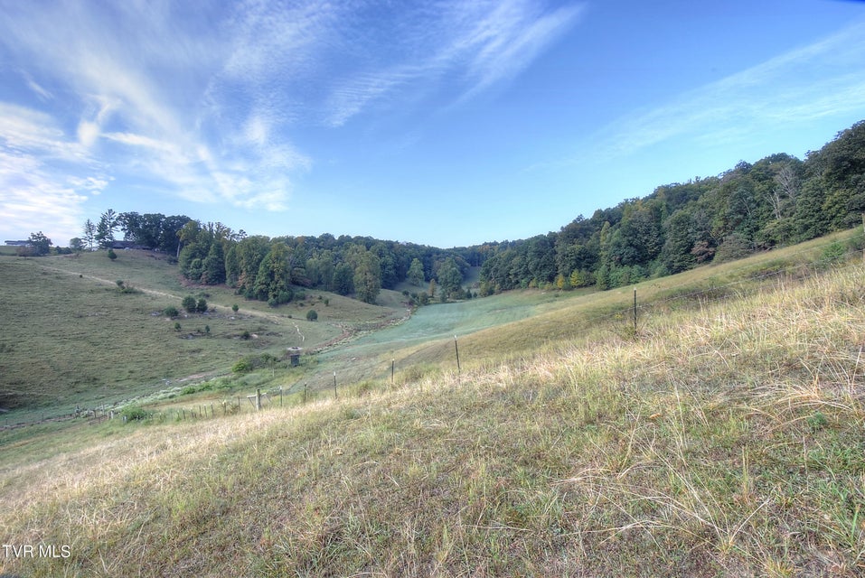 Photo #38: 1579 Bristol Highway
