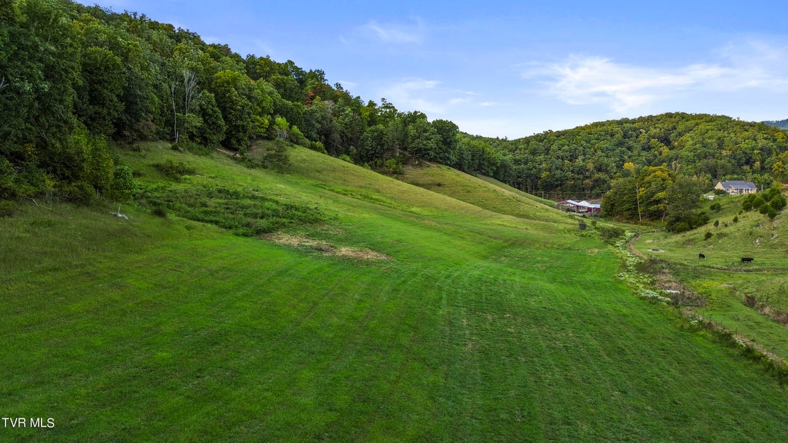 Photo #64: 1579 Bristol Highway