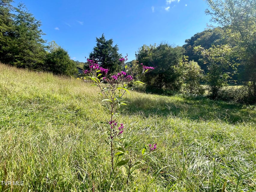 Photo #32: 2720 Goshen Valley Road