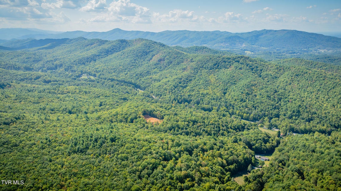 Photo #18: 22.83/Ac Tbd Sciota Road