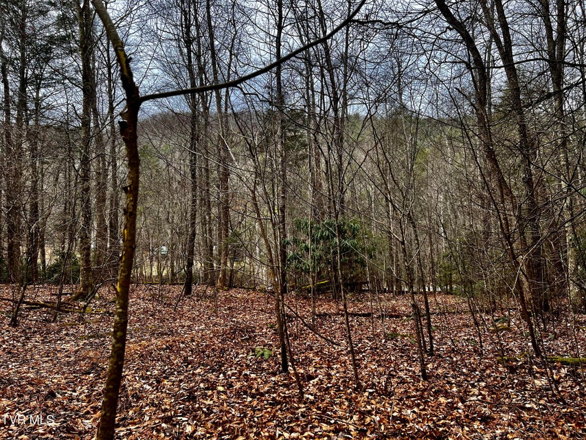 Photo #11: 22.83/Ac Tbd Sciota Road